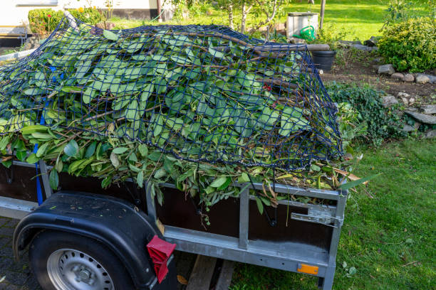 Best Yard Waste Removal  in Wauseon, OH